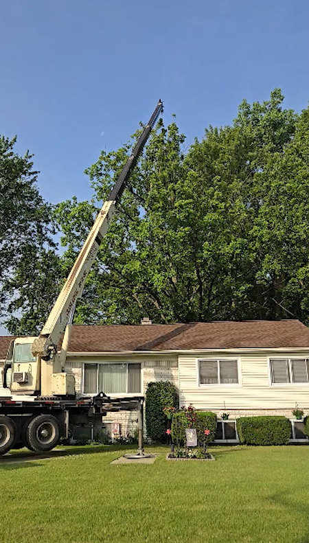 Crane lifting tree sections safely